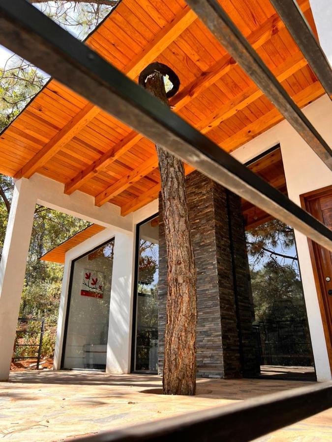 Cabana "Alexa", En El Corazon Del Bosque De Mazamitla Buitenkant foto